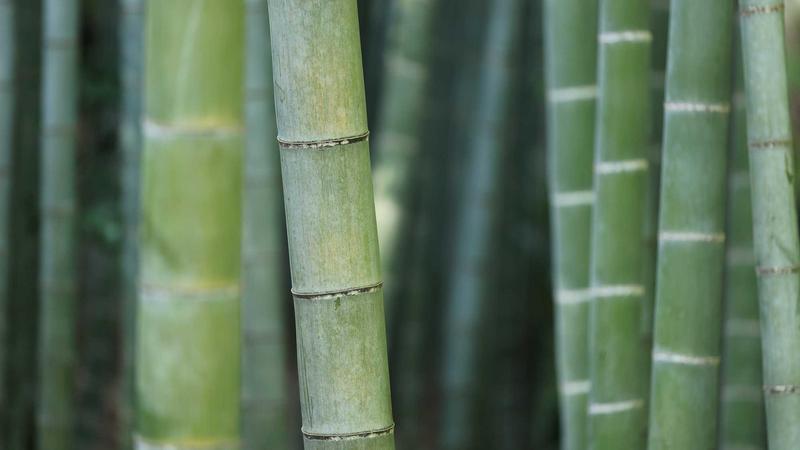 利澳平台全球连接枢纽与创新引擎
